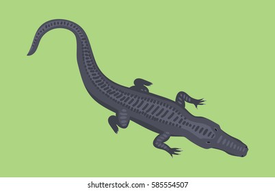 Cartoon green crocodile danger predator and australian wildlife river reptile carnivore alligator with scales teeth flat vector illustration.