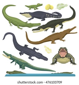 Cartoon green crocodile reptile flat vector illustration