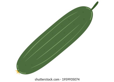 Cartoon green cucumber on isolated white background. Fresh vegetable.