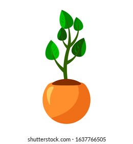 Cartoon green flower inside house plants in pot. Leaf and flowers icon. Flowerpot isolated object, houseplant flower pot collection. Vector illustration