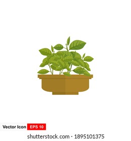 Cartoon green flowers in a pot. Leaf and flower icons. Objects isolated flower pots, ornamental plant flower pots. Vector illustration
