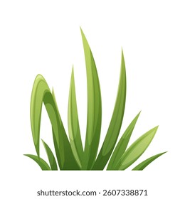 Cartoon green grass isolated. Blades of grass on white background. Vector botanical element