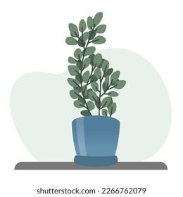 Cartoon green houseplant in blue pot. Euonymus.  svg