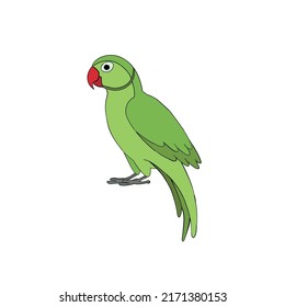 Cartoon green the indian ring-necked parakeet parrot hand drawn isolated on a white background. Flat design. Vector illustration.