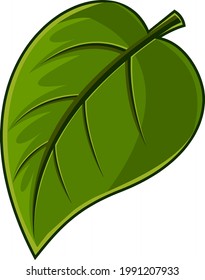 Cartoon Green Leaf Fresh Organic Plant. Vector Hand Drawn Illustration Isolated On Transparent Background