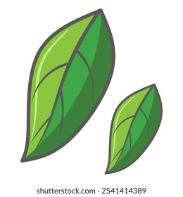 Cartoon green leaf, isolated on white background. Fresh leaf vector illustration