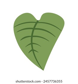 Cartoon green leaf plant vector design elements, decorative natural leaf, isolated on white background