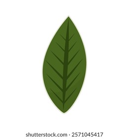 Cartoon green leaf. Vector illustration.