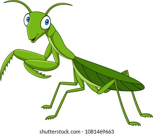 Cartoon green mantis on white background