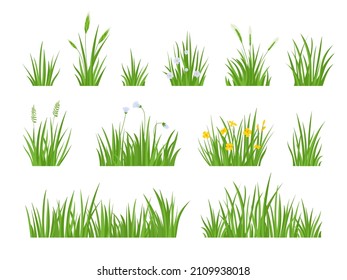 Cartoon green meadow grass with flower, herbs and spike ears. Spring garden lawn horizontal borders. Field fresh natural grass vector set. Summer plants with wildflowers blossom isolated elements