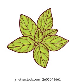 Cartoon Green Mint Leaves Vector Illustration