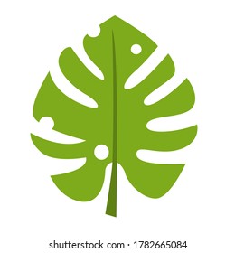 Cartoon green monstera leaf vector illustration isolated