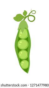 Cartoon green peas isolated on white background vector illustration.