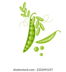 Cartoon Green Peas in the Pod isolated on white background. Spring vegetables. Vector illustration.
