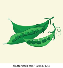 Garzas verdes de dibujos animados. Un conjunto de tres guisantes verdes. Ilustración vectorial.