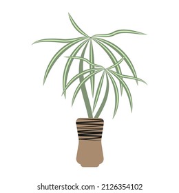 Cartoon green plant in a pot. Houseplant in pots. Green natural decor for home and interior. Objects isolated flower pots, ornamental plant flower pots. Vector illustration. flat icon.