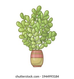 Cartoon green plant in striped pot. Euonymus. Vector illustration isolated on white background