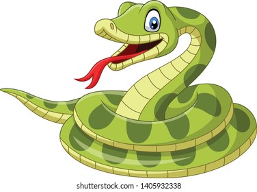 Cartoon green snake on white background