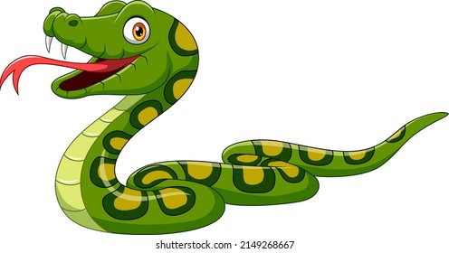 Cartoon green snake on white background