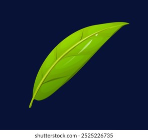 cartoon green tea leaf, isolated vector natural ingredient for brewing hot drink and beverage. Slender and slightly curled leaf with a delicate, smooth texture, emit a fresh, grassy and earthy aroma