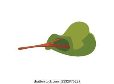 Cartoon green tree fell down following an earthquake, hurricane or other natural disaster. Vector illustration on ecology nature topic. Consequences on plants icon isolated on white background