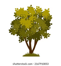 Cartoon green tree isolated on a white background. Vector element for spring or summer landscape.