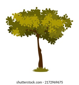 Cartoon green tree isolated on a white background. Vector element for spring or summer landscape.