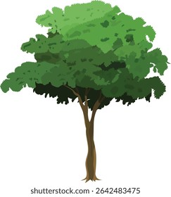 Vector verde del árbol de la historieta con el tronco fino alto y el follaje denso para el fondo de la animación, la escena de la Naturaleza, el ambiente del juego del bosque, la ilustración del pueblo o el diseño educativo del explicador

