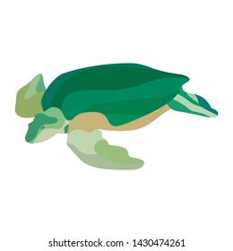 Cartoon green turtle isolated on white background. Vector illustration