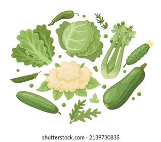 Cartoon Green Vegetables Salad Leaves Cabbage Stock Vector (Royalty ...