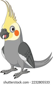 Cartoon Grey Cockatiel on White Background