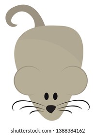 Ratón gris caricaturizado sobre la superficie con ojos tiene una nariz negra puntiaguda orejas grandes y un largo dibujo o ilustración de color vectorial de cola negra