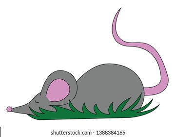 Cartoon grey mouse lying on the surface with eyes has a pointed snout  black nose  large pink ears  and a long black tail  vector  color drawing or illustration
