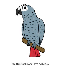Cartoon Grey Parrot Vector Illustration
