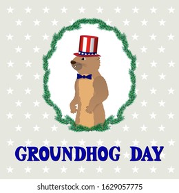 Cartoon groundhog in a hat the color of the American flag. Funny marmot in a frame of pine branches on a gray. Groundhog Day greeting card design. Trendy vector illustration for poster, banner, flyer