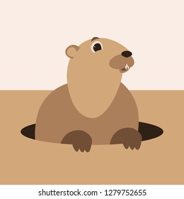 cartoon groundhog, vector illustration,  flat style, front view
