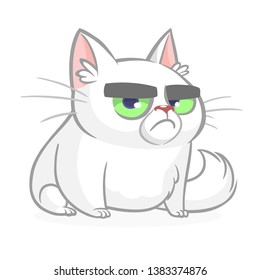 Cartoon grumpy white cat. Cute fat cartoon cat illustration with a grumpy expression