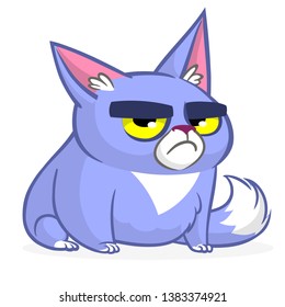 Cartoon grumpy white cat. Cute fat cartoon cat illustration with a grumpy expression
