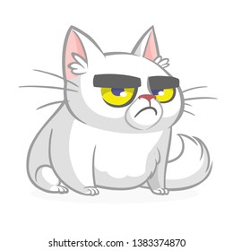 Cartoon grumpy white cat. Vector illustration isolated
