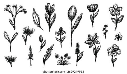 Cartoon grunge flower plant illustration in pencil scribble hand drawn style. Set of monochrome doodle chaotic sketches nature elements. Vector naive child art.