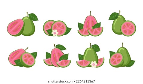 Cartoon guava isolated. Whole half slices closeup guajava with leaves and flowers vector illustration, green guarva fruits with red pulp icons on white