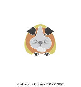 cartoon guinea pig illustration vector