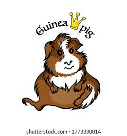 Cartoon Guinea pig isolated on white background