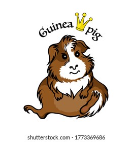 Cartoon Guinea pig isolated on white background