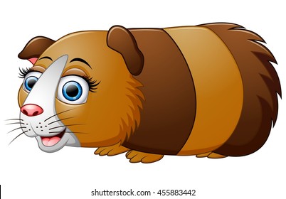 Cartoon guinea pig isolated on white background