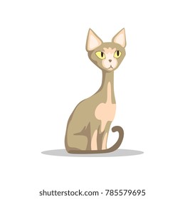 Cartoon hairless cat with yellow eyes, thin tail and big ears. Sphynx breed. Domestic animal. Flat vector design for postcard, pet store or veterinary clinic