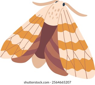 Cartoon hairy moth vector illustration