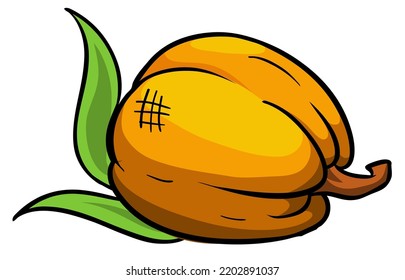 Cartoon  halloween pumpkin head with scary expression. Vector illustration of jack-o-lantern character isolated