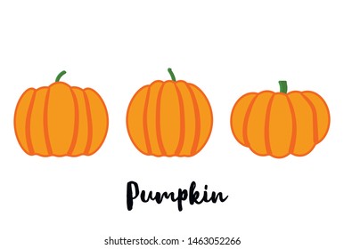 Cartoon halloween pumpkin set. Different shapes and sizes orange gourd isolated on white background.