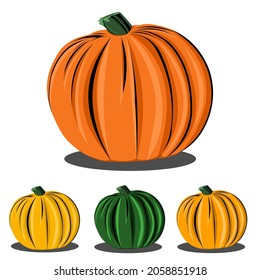 Cartoon halloween pumpkin set. Different shapes and sizes orange gourd isolated on white background. Vector illustration